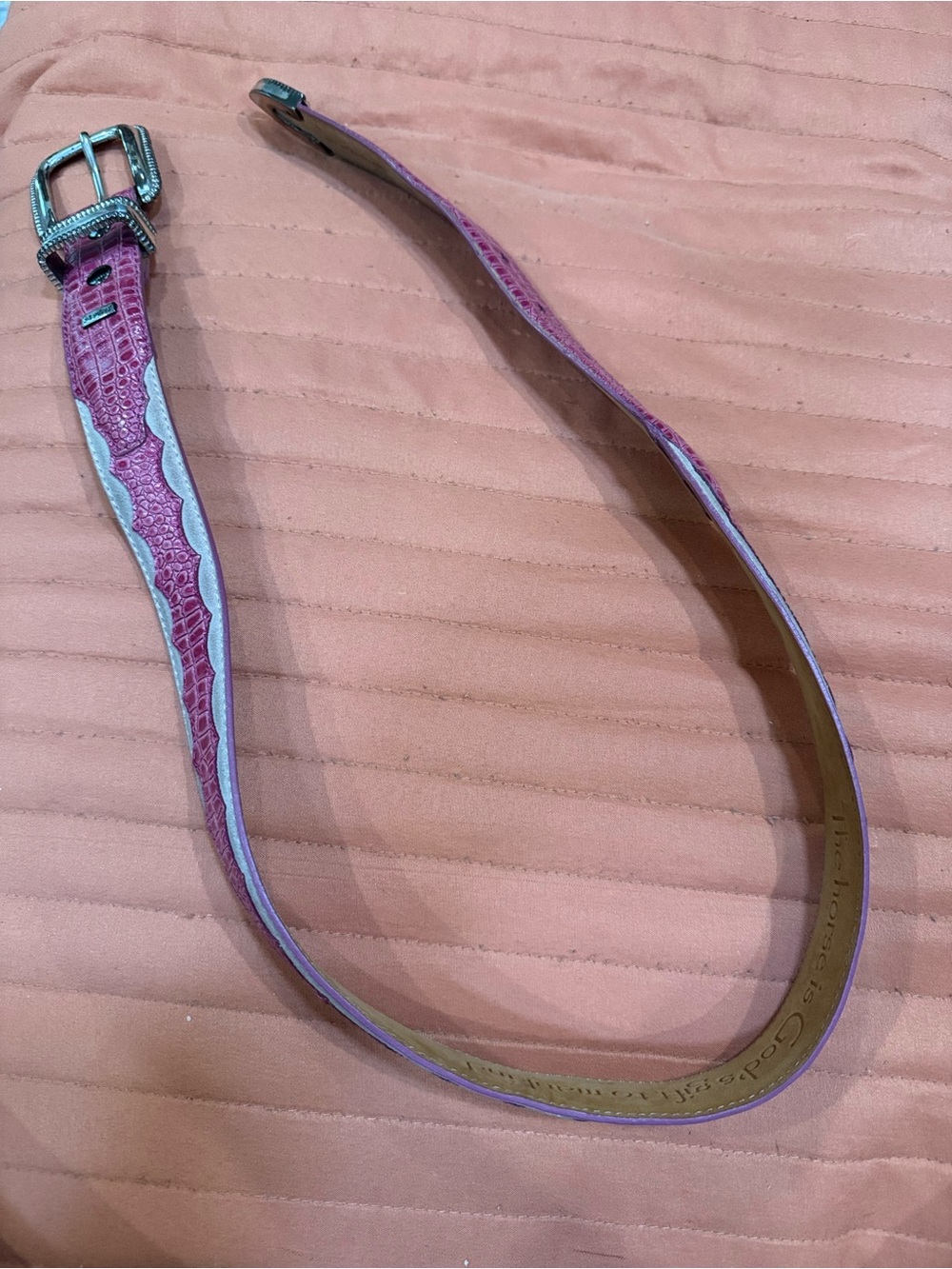 ARIAT Pink Scalloped Full Grain Croc Leather Belt Weatern